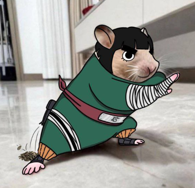 userAvatar